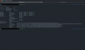 Terminal - cilium status